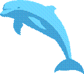dolphin clip art.png