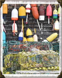buoys in net