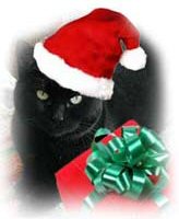 Cat with Santa hat and present