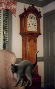 cat and grandfather clock