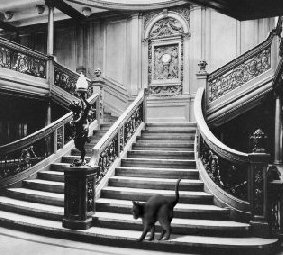 cat on Titanic grand staircase