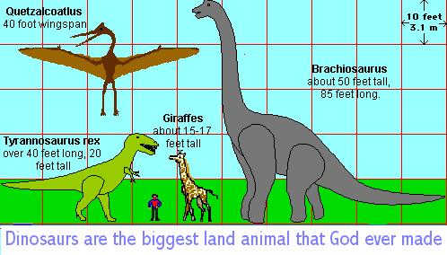 What animal is bigger than any dinosaur?