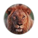 Lavlji lav