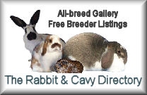 Visit The 

Rabbit & Cavy Directory for breed and club information, pictures, breeder listings, 

and lots more!