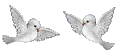2 doves