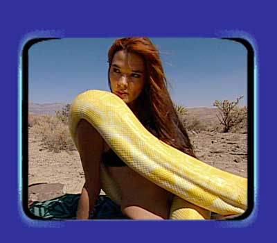 SNAKE BABE Maria Gara is a model who loves snakes