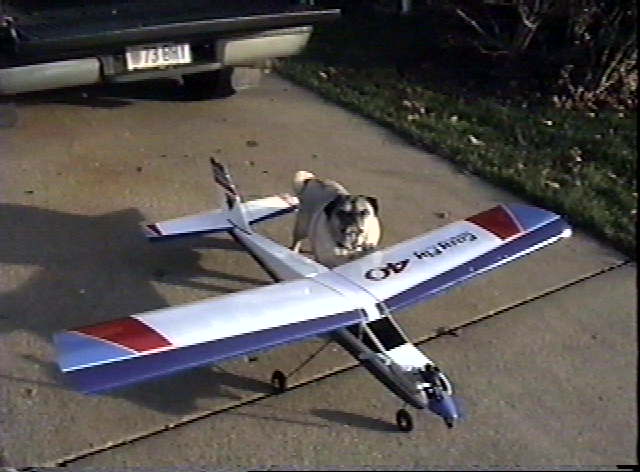 My RC airplane and Pugsley