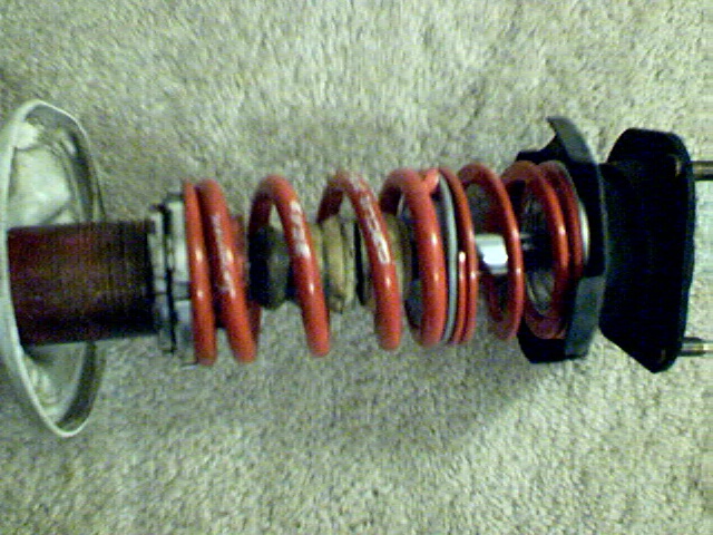 Circuit Pro, Rear Springs Assembled on Strut