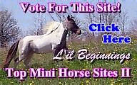 Vote For Our Site