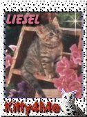 Liesel