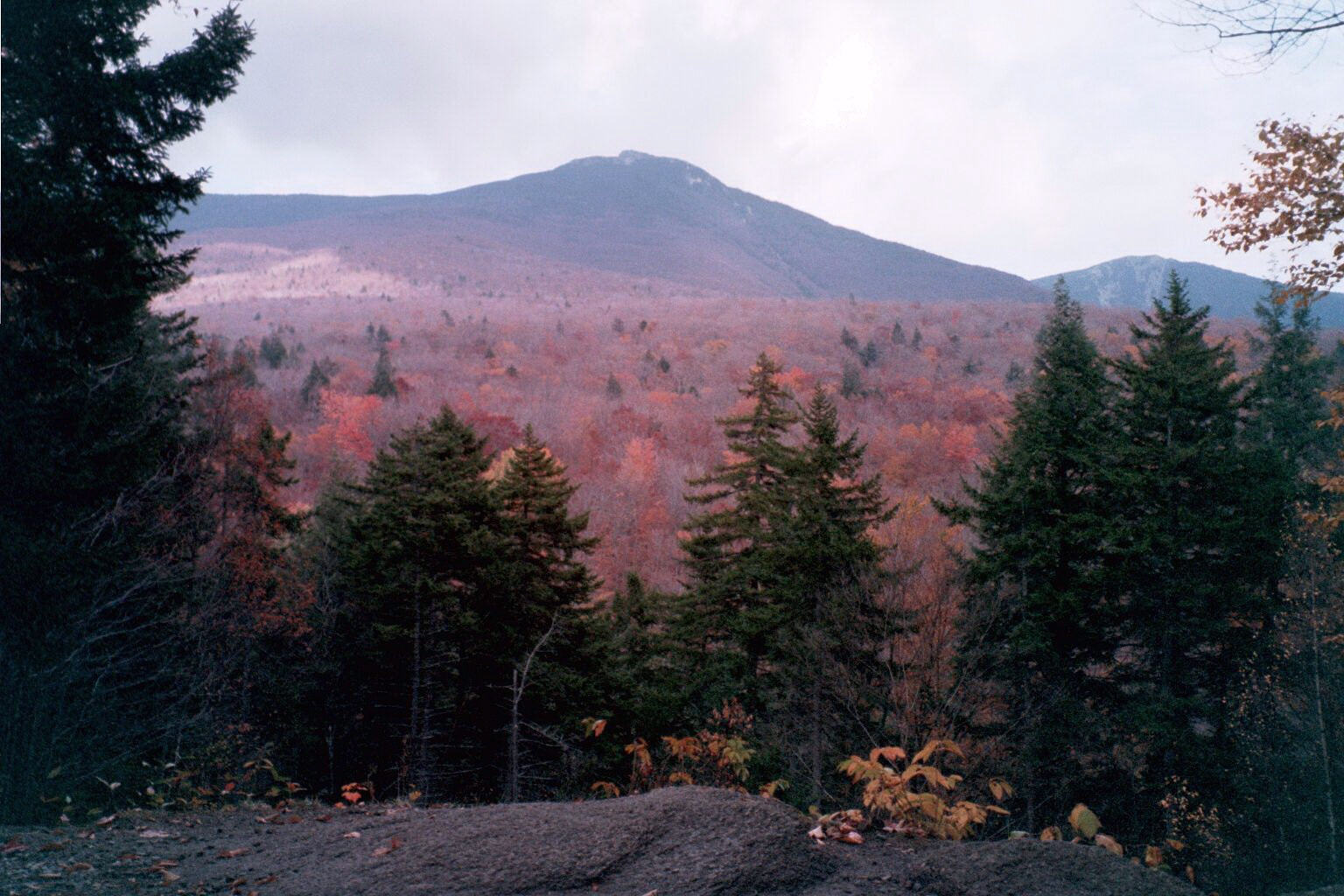 A view from the Picnic Area at the foot of the Rollins Trail. 1536x1024