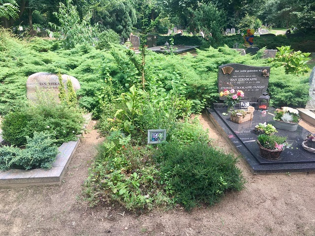 Conley's gravesite