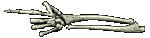 skeleton_hand.gif (20946 bytes)