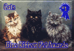 Blue Ribbon Pet Awards