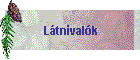 Ltnivalk