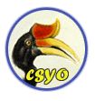 csyo_logo