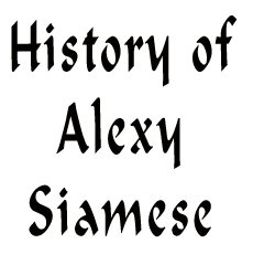 History of Jim-An-Di Siamese gif