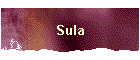 Sula