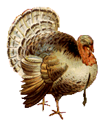 turkey 2