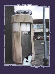 Hazel waiting for the toilet in Ireland