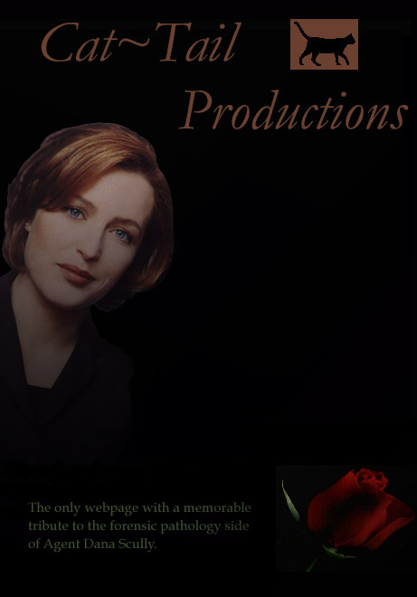 Cat~Tail Productions