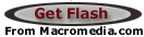 Get Flash from Macromedia.com