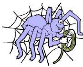 SNS - Spider Web