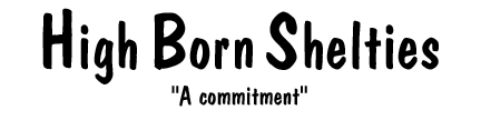 High Born Shelties Logo