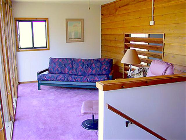 Upstairs sun room - futon opens up for another bed