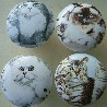 Cabinet knobs Four Cat Family