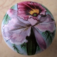 Cabinet Knob Orchid flower