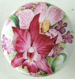 Cabinet Knob orchid flower