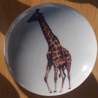 CERAMIC CABINET KNOB KNOBS  WILDLIFE GIRRAFE GIRAFFE