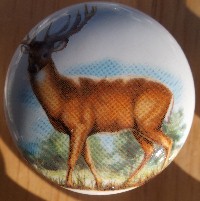 cabinet knob whitetail deer