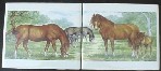 Ceramic Tile mural Horse 
