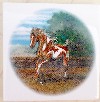 Ceramic Tile Paint Horse