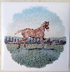 Ceramic Tile Trotuer Horse