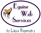 Equine Web Design by Lisa Repensky