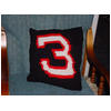Rita's completed pillow of Nascar 3 in thumbnail