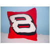Rita's completed pillow of Nascar 8 in thumbnail