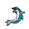 dolphin animated gif