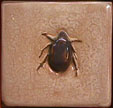 Arts & Crafts Beetle Scarab Tile Click To Enlarge