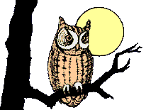 animated image owl