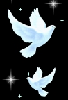 white doves logo