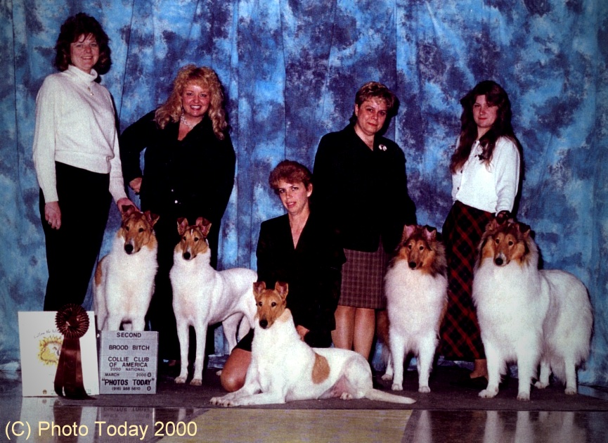 Family Photo: Bravo, Prima, Aubrey, Everest, and momma Blanca -- March 2000