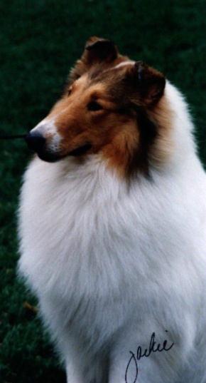 Everest at 10 Months all spiffed up March 2000