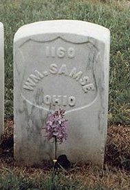 Grave of William Seamse at Andersonville