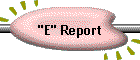 "E" Report