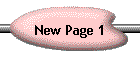 New Page 1