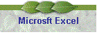 Microsft Excel